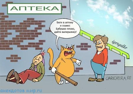 Лекарство от бешенства – смешной анекдот