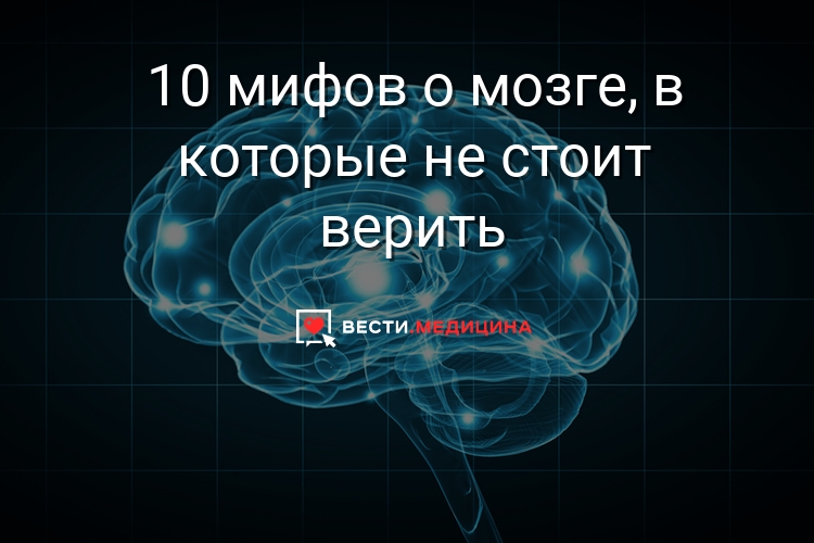Мифы о мозге топ-10
