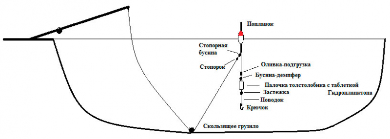 На что ловить толстолобика летом
