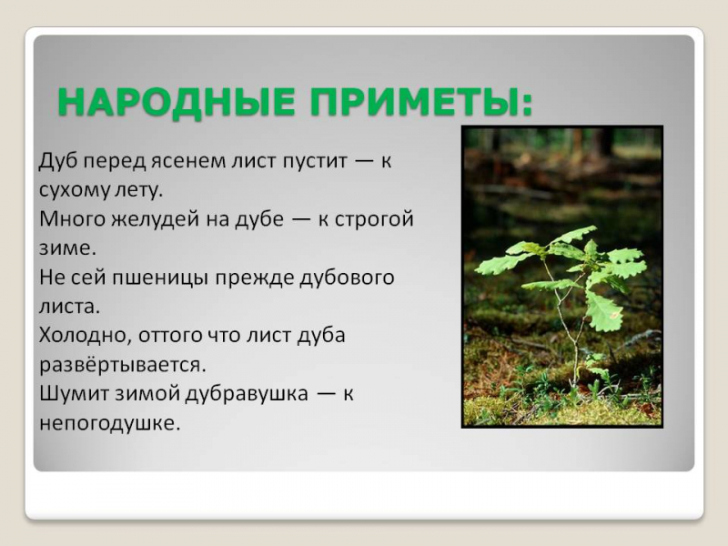 Народные приметы ориентирования