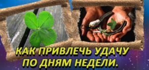 Народные приметы — почему появляются клопы в квартире