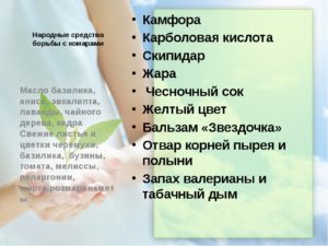 Народные средства от комаров