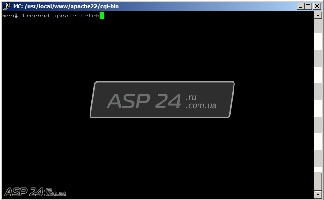 Настройка web сервера на freebsd 10