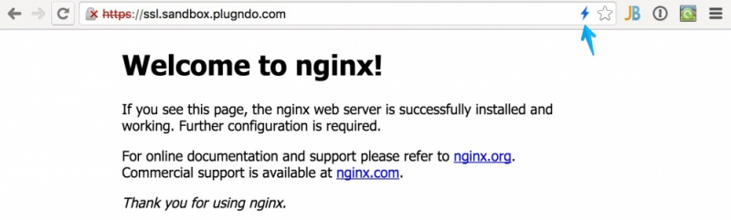 Не работает http/2 на nginx в chrome
