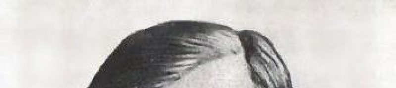 Николай чернышевский – краткая биография и фото