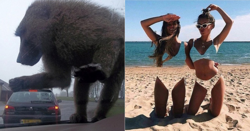 Обман зрения – 30 смешных картинок