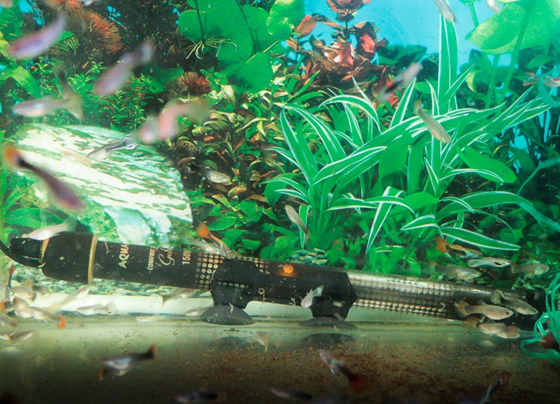 Обогреватель для аквариума: как установить, как сделать своими руками