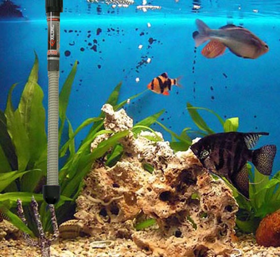 Обогреватель для аквариума: как установить, как сделать своими руками