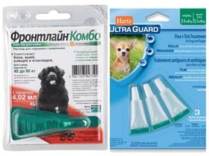 Обработка собак от блох и клещей