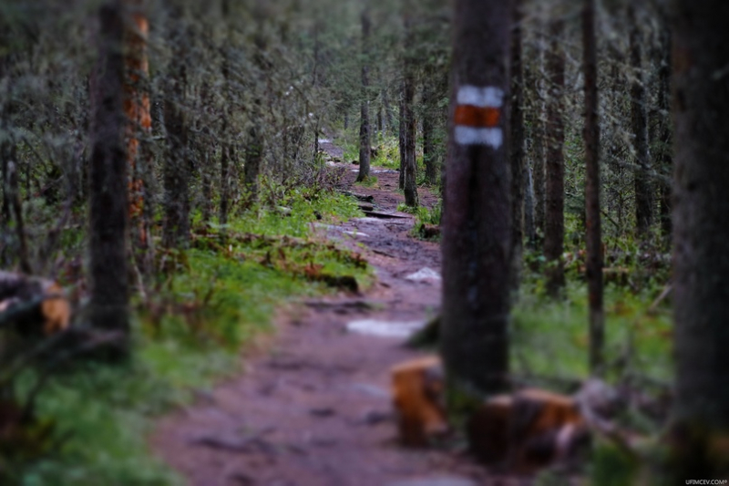Одиночный поход: наедине с природой и самим собой
