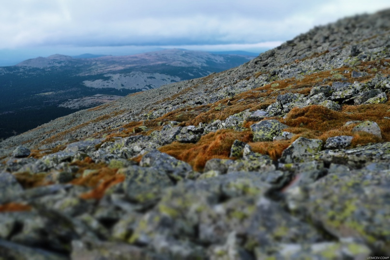 Одиночный поход: наедине с природой и самим собой
