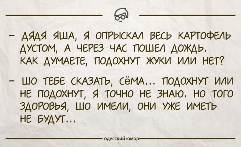 Окна женской консультации – лучшие анекдоты