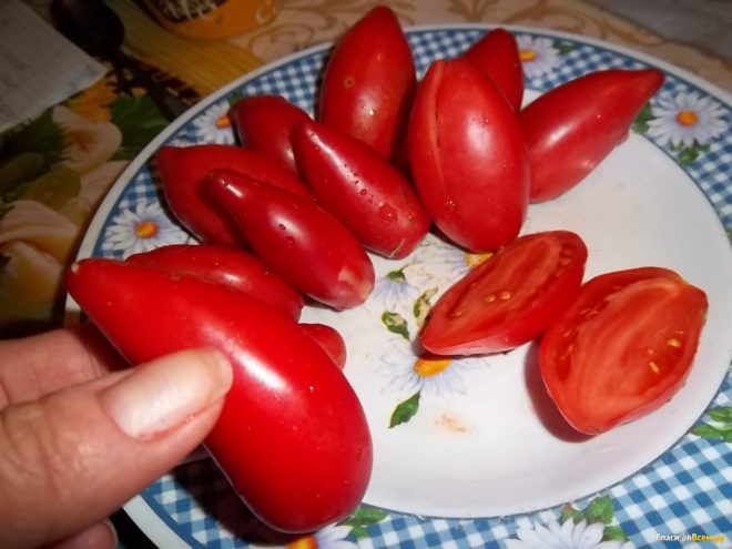 Описание и фото изящного и вкусного томата «супермодель»