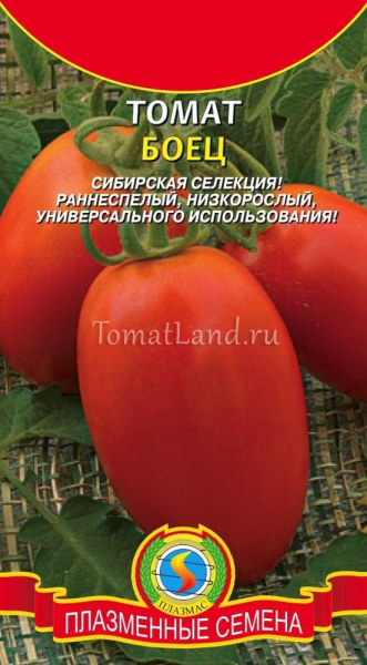 Описание и характеристики универсального сорта томатов – «боец» («буян»)