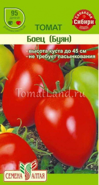 Описание и характеристики универсального сорта томатов – «боец» («буян»)