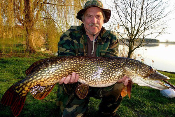 Осенний жор щуки