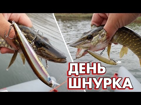 Осенний жор щуки