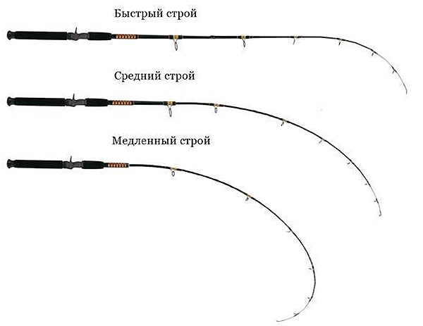 Оснастка для ловли окуня на спиннинг