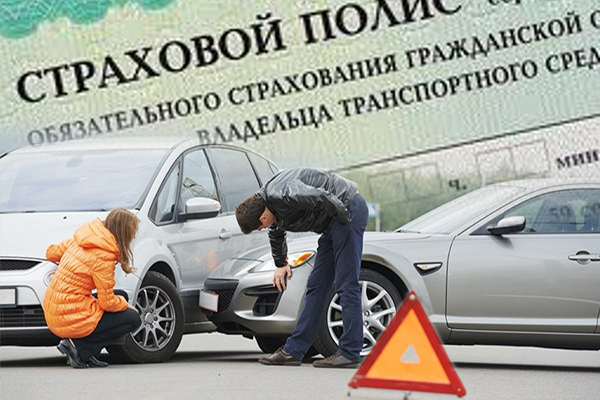 Особенности осаго при дтп: получит ли выплату виновник