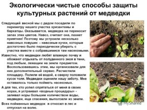 Отпугиватели медведок