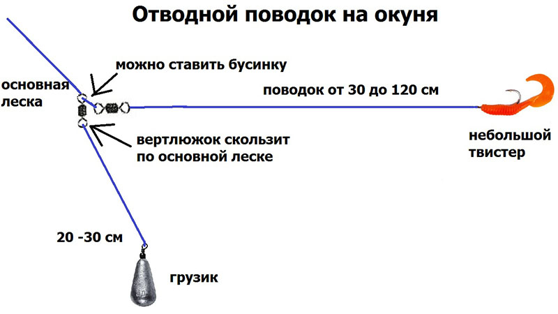 Отводной поводок для ловли окуня