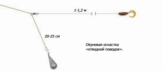 Отводной поводок для ловли окуня