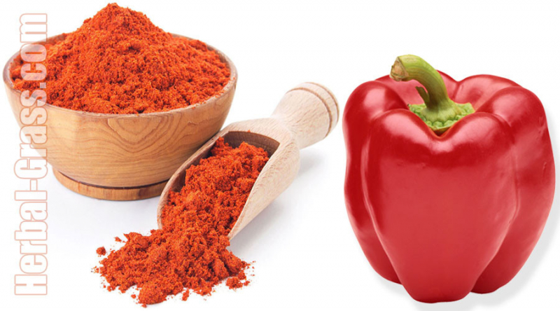 Паприка: как сделать в домашних условиях, применение красной, польза специи, состав, противопоказания, фото