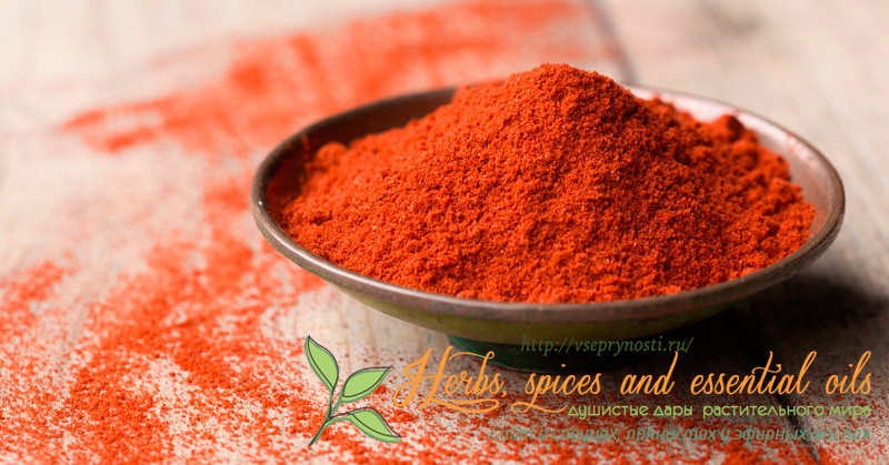 Паприка: как сделать в домашних условиях, применение красной, польза специи, состав, противопоказания, фото