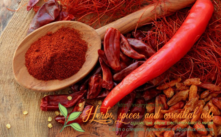 Паприка: как сделать в домашних условиях, применение красной, польза специи, состав, противопоказания, фото