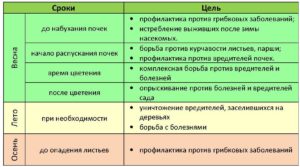 Персик ветеран: описание сорта, характеристика плодов, особенности выращивания, методы защиты от тли, эффективные средства, отзывы садоводов