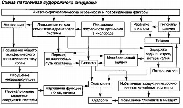 Первая помощь при судорогах: простые и эффективные действия