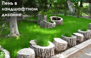 Пни в ландшафтном дизайне: виды применения и способы декора