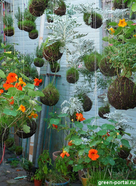 Подвесной сад на даче своими руками