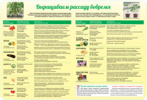 Посадка картофеля в 2018 году: сроки для разных регионов, по лунному календарю, когда начинать проращивать, способы проращивания