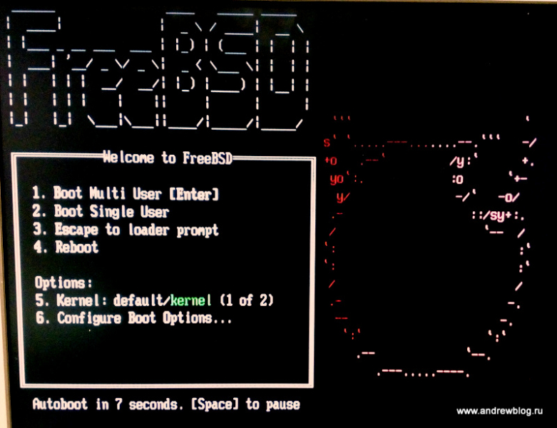 Пошаговая установка freebsd 11 для чайников