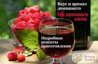 Пошаговый процесс приготовления вина из жимолости в домашних условиях