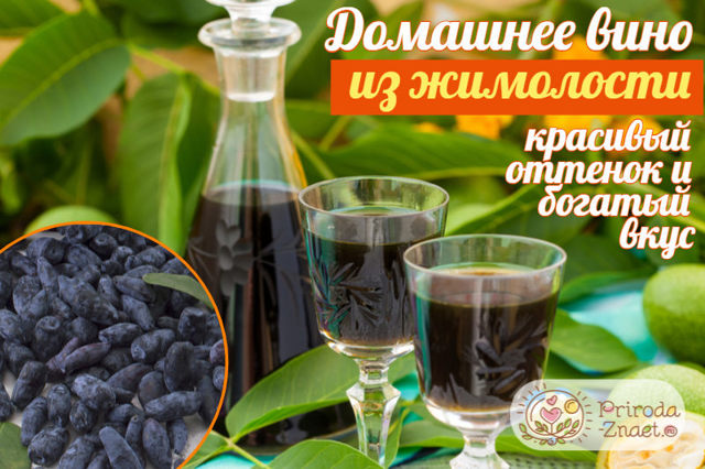Пошаговый процесс приготовления вина из жимолости в домашних условиях