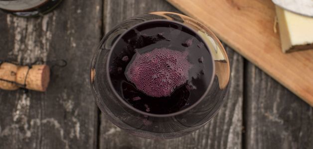 Пошаговый процесс приготовления вина из жимолости в домашних условиях