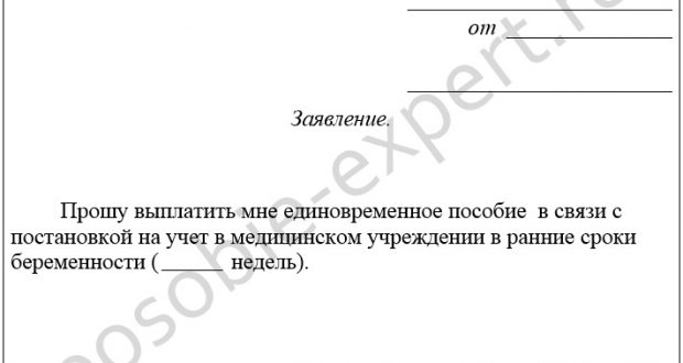 Пособие беременной в 2019 году, вставшей на учет в ранние сроки до 12 недель: размер и условия получения выплаты