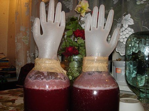 Правила и сроки хранения вина в пластиковой бутылке и стеклянной банке