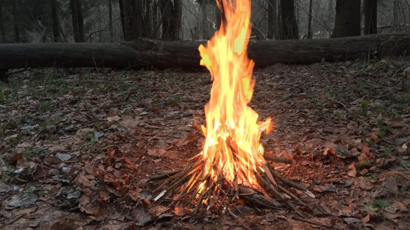 Правила разведения костра в лесу
