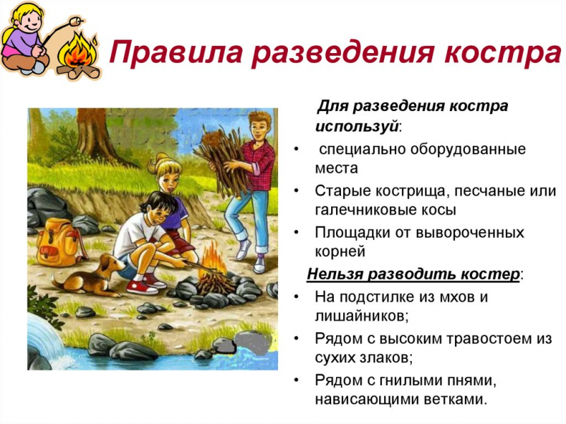 Правила разведения костра в лесу