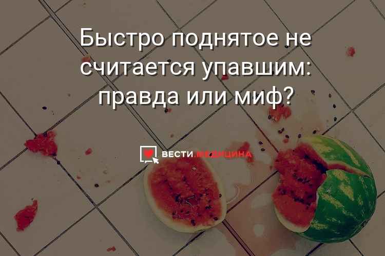 Правило пяти секунд – правда или миф