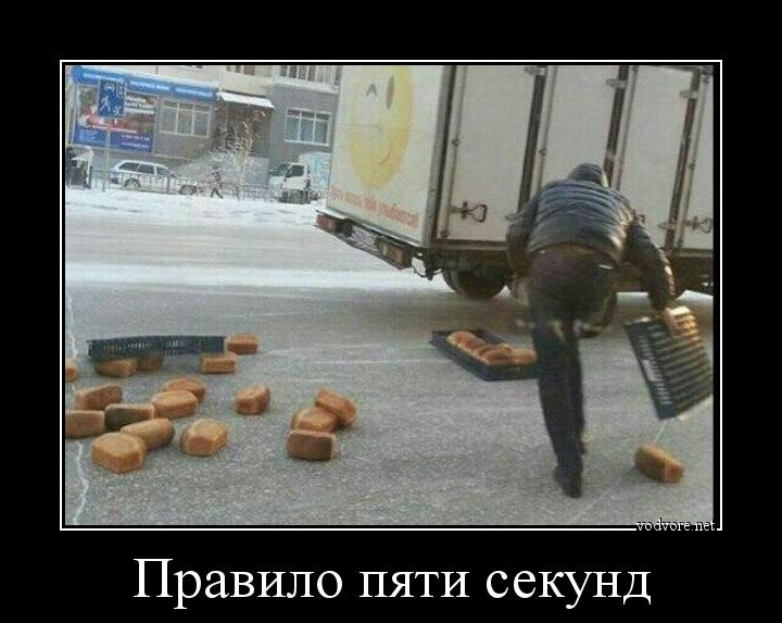 Правило пяти секунд – правда или миф