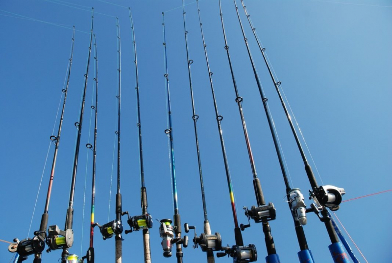 При каком ветре не клюет рыба?