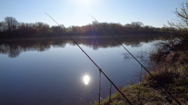 При каком ветре не клюет рыба?