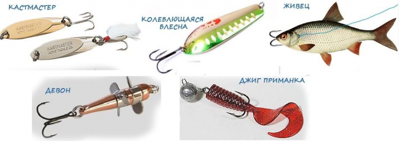 Приманки для ловли жереха