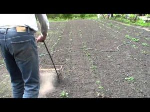 Приспособления для прополки картофеля: покупные, самодельные, простые, разновидности, правила эксплуатации, выращивание картошки без прополки