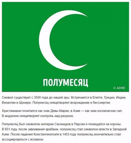 Продолжение рода – интересные факты