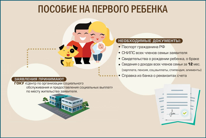 Путинские выплаты при рождении первого ребенка 2019: как оформить, какие нужны документы?